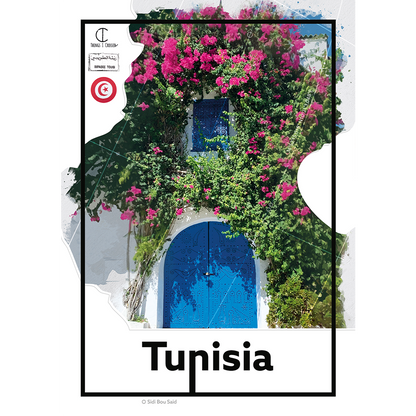 Tunisia Travel Poster