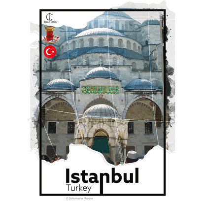 Istanbul Travel Poster
