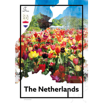 The Netherlands Travel Poster